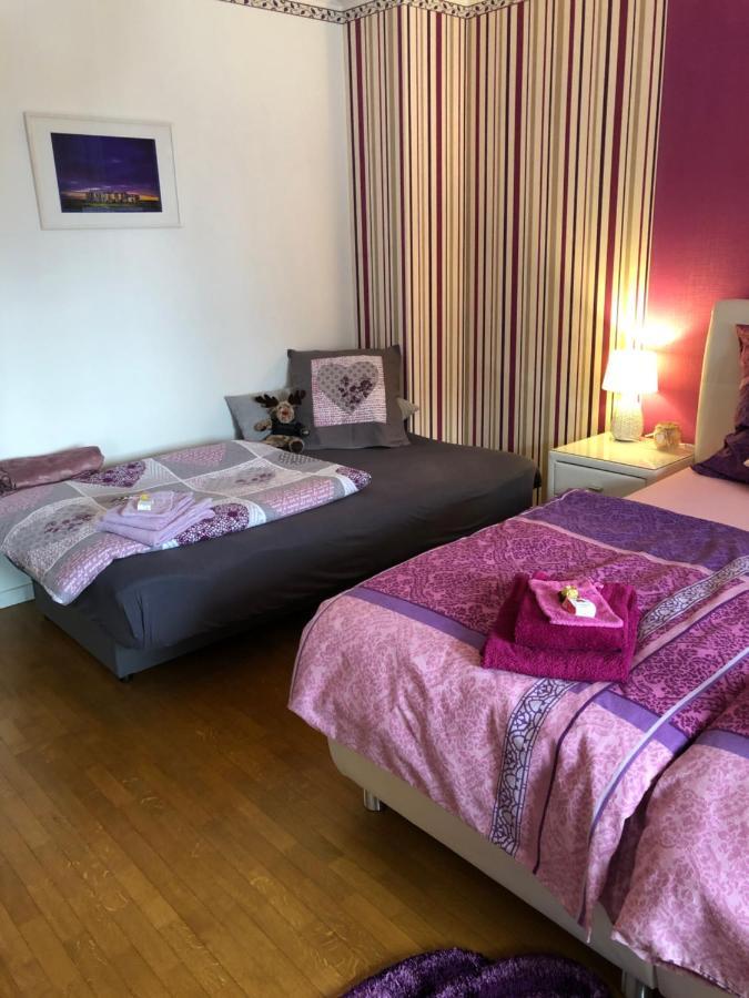 Villa Haus Zissi Burg Reuland Esterno foto